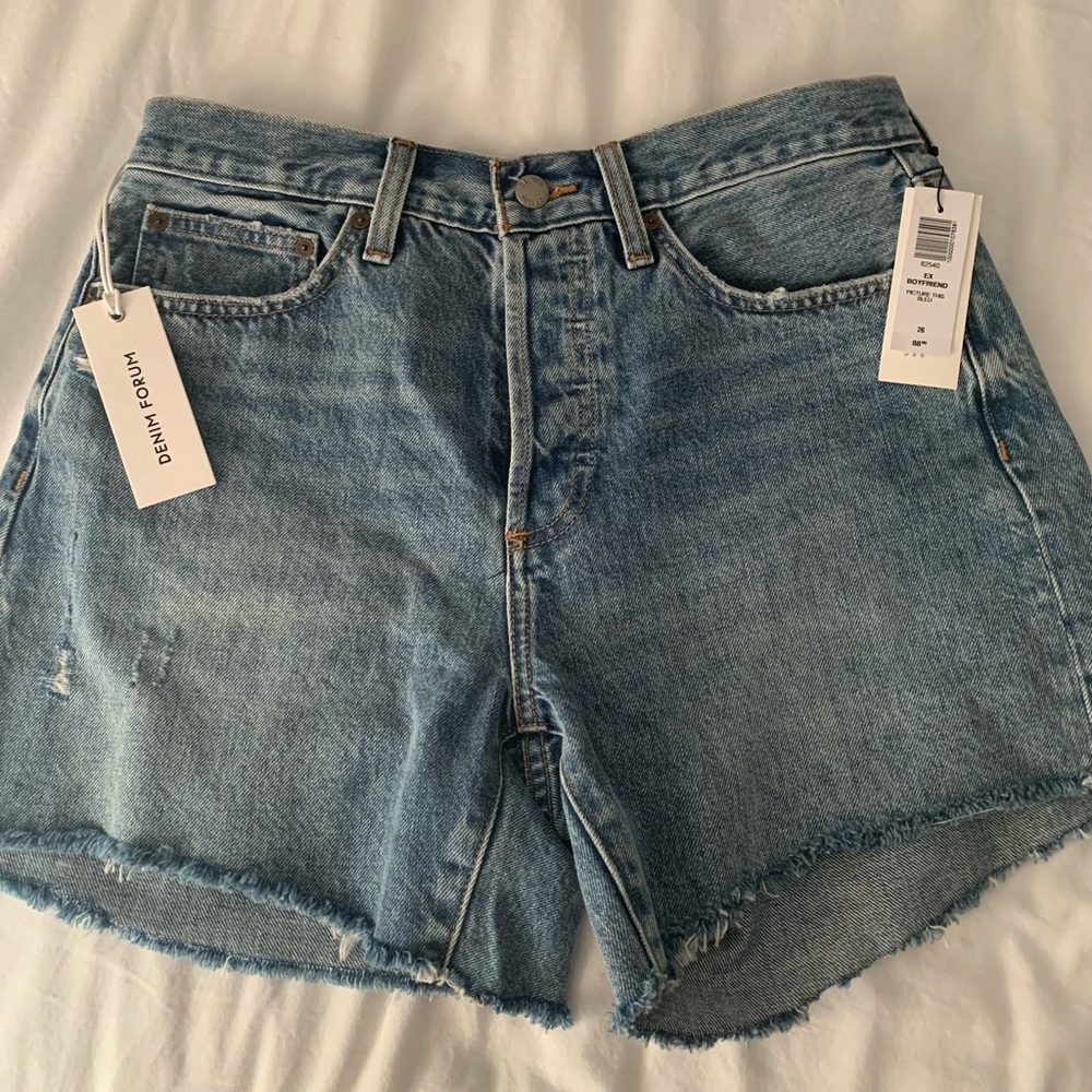 Aritzia DENIM FORUM Ex Boyfriend MIDI Short